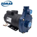 Ver imagem 2 de Motobomba Somar Monofásica Injetora S11-210 3 Cv 110/220V