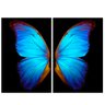 Quadro Borboleta Azul e Preto Delicado 1 - Kit 2 telas - 60 x 40 cm - Chassi - 2