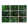 Quadro 50x675cm Decorativos Paisagem Floresta Basoa Moldura Branca Com Vidro - Oppen House - 1
