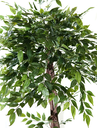 Ver imagem 2 de Arvore Grande Folhagem Real Planta Ficus 165cm Decoração