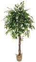 Ver imagem 1 de Arvore Grande Folhagem Real Planta Ficus 165cm Decoração