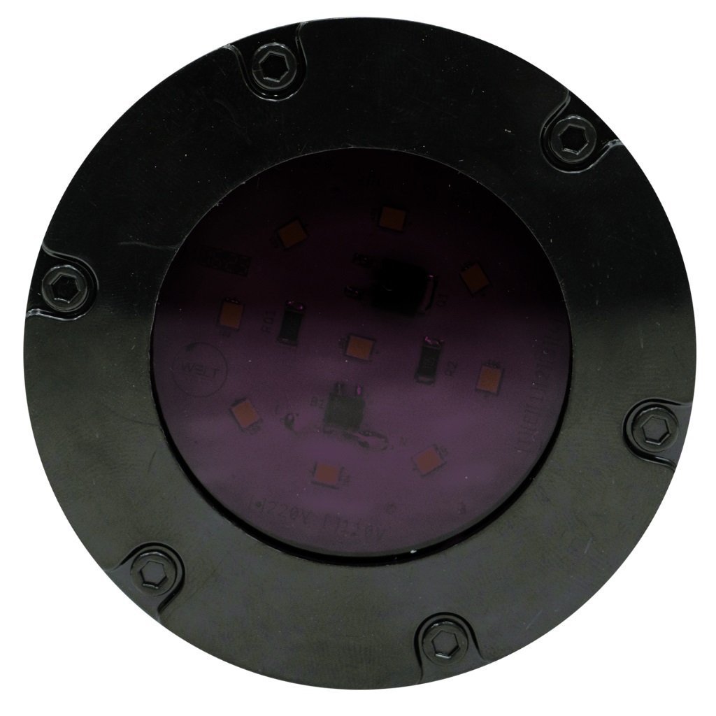 Mini Refletor LED Decorativo Econômico - Base Preta Roxo - 110V - 2