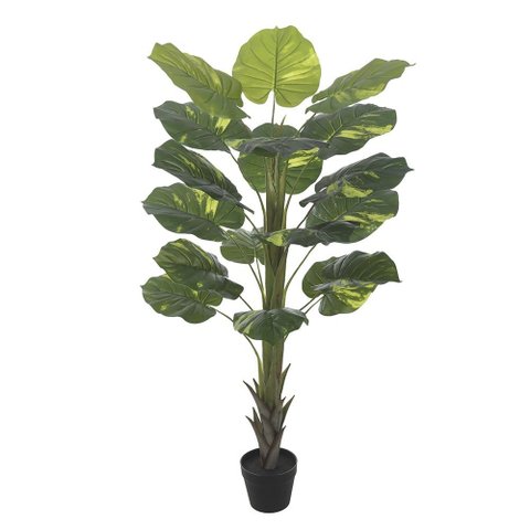 Jiboia Real Toque C/pote X18 Verde 1,4