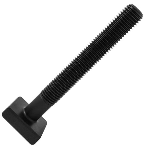 Parafuso Cabeça T M24 X 3,0 X 250mm - Modelo Pct-0009