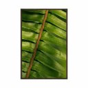 Ver imagem 1 de Quadro Decorativo Folha Samambaia Verde Flnt113 - Tela Canvas - 80x60cm