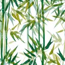 Ver imagem 1 de Papel de Parede Decorativo Temático Bambus Tons Verdes 3,3m