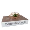 Livro decorativo 'Concrete Jungle' e enfeite de metal rose - 3