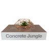 Livro decorativo 'Concrete Jungle' e enfeite de metal rose - 1