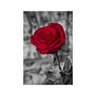 Quadro Flor Rosa Vermelha - Tela Única - 90 x 60 cm - Branca - 2