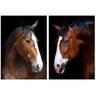Quadro Cavalos Marrom - Kit 2 telas - 60 x 40 cm - Chassi - 2