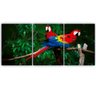 Quadro Arara Natureza - Kit 3 telas - 60 x 40 cm - Preta - 2