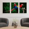 Quadro Arara Natureza - Kit 3 telas - 90 x 60 cm - Branca - 1