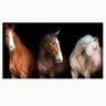 Quadro Cavalos Fundo Preto - Tela Única - 200 x 120 cm - Preta - 2