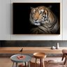 Quadro Tigre Fundo Preto - Tela Única - 120 x 90 cm - Preta - 1