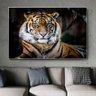 Quadro Tigre Imponente Horizontal - Tela Única - 120 x 90 cm - Branca - 1