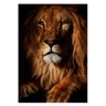 Quadro Leão Rei Savana - Tela Única - 150 x 100 cm - Preta - 1