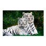 Quadro Tigre Casal Horizontal - Tela Única - 150 x 100 cm - Branca - 2