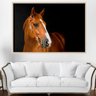 Quadro Cavalo Fundo Preto - Tela Única - 120 x 90 cm - Chassi - 1