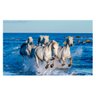 Quadro Cavalos Galopando no Mar - Tela Única - 150 x 100 cm - Chassi - 2