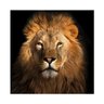 Quadro Leão Quadrado - Tela Única - 150 x 150 cm - Branca - 2