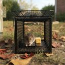 Ver imagem 4 de Armadilha Ratoeira Gaiola Grande Pega Roedores Rato Ratazana Camundongos Captura Praga