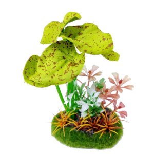 SOMA PLANTA DUO MIX PAISAGEM 16 (050614) - UN