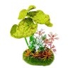 SOMA PLANTA DUO MIX PAISAGEM 16 (050614) - UN - 1