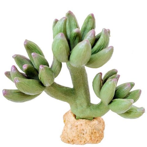 Soma Enfeite de Silicone para Aquário Cactus 09 (076514) - Un