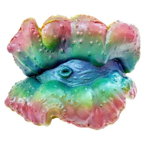 SOMA ENFEITE DE SILICONE PARA AQUÁRIO INVERTEBRADO TRIDACNA (074000) - UN