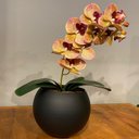 Ver imagem 2 de Arranjo de Orquídea Rosa Tigre Centro de Mesa no Vaso Preto