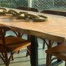 Mesa de Tronco Pequiá Orgânica Cor Natural com Pés em Aço Carbono Preto 250cm Comp X 100cm Larg - 3