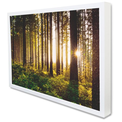 Quadro Decorativo Caixa Floresta sobre a Luz do Sol  Tacolado Moldura Caixa 3cm Madeira sem Vidro 40
