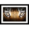 Quadro Decorativo Pense&Faça Olhos De Tigre 32 107Cm - 1