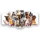 Ver imagem 1 de Kit Placa Decorativa Mosaico 5 Pçs Cães E Gatos Pets