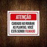 Kit 10 Placas Atenção Cuidado Roubar Plantas Você Filmado - 1