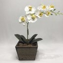 Ver imagem 4 de Arranjo de Orquídea Branca em Vaso de Madeira 30cm:branco