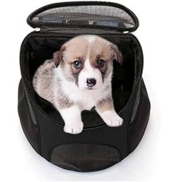 Mochila Canguru Transporte Cachorro Gato Seguro Respirável - 6