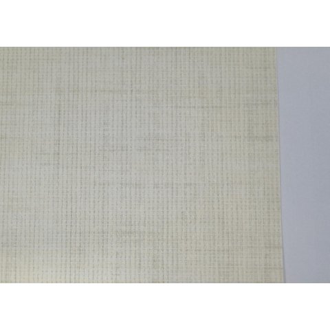 Papel de Parede Texture Iii - Bege Tx-3019 Edantex