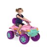 Super Quad Passeio e Pedal Rosa Bandeirante - 5