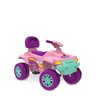 Super Quad Passeio e Pedal Rosa Bandeirante - 6