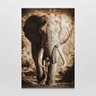 Quadro Decorativo Elefante Cor Sépia 1 Tela - 3