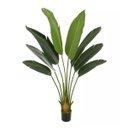 Ver imagem 1 de Planta Árvore Artificial Palmeira Viajante com Pote Verde 1,2m