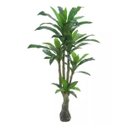Ver imagem 1 de Planta Árvore Artificial Dracena Real Toque Verde 1,7m