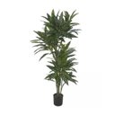 Ver imagem 1 de Planta Árvore Artificial Dracena Real Toque Verde Creme 1,90m