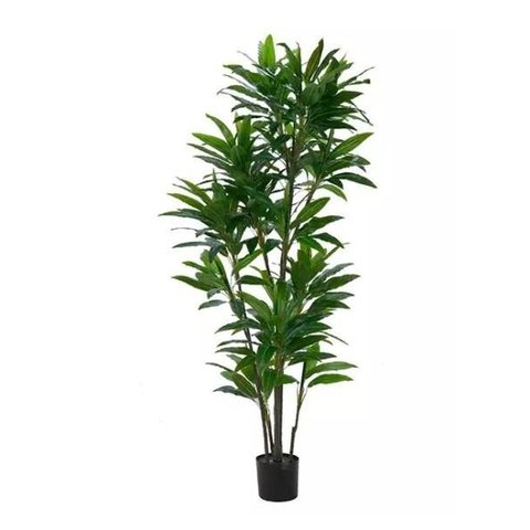 Planta Árvore Artificial Dracena Verde Real Toque 1,9m
