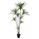 Ver imagem 1 de Planta Árvore Artificial Dracena Verde 1,95m