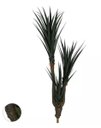 Ver imagem 1 de Planta Árvore Artificial Pandanus Texturizada Verde 1,8m