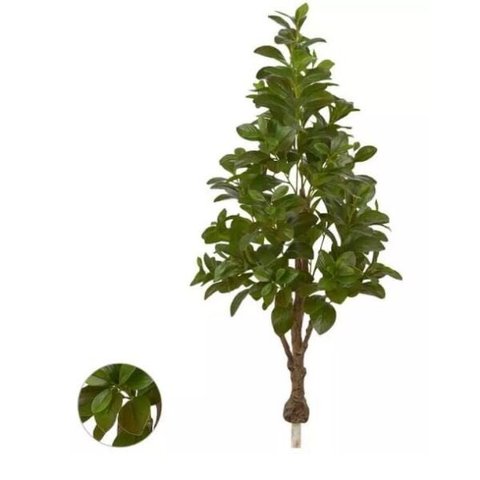 Planta Árvore Artificial Clúsia Verde Real Toque 1,30m