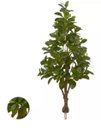 Ver imagem 1 de Planta Árvore Artificial Clúsia Verde Real Toque 1,30m