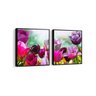 Conjunto 2 Quadros Decorativos Tulipas - 1